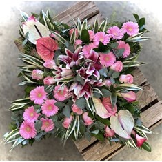 Exotic tropical cushion 