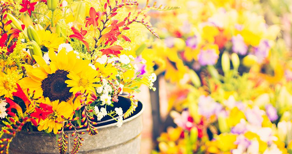 Poppies Florist Liverpool